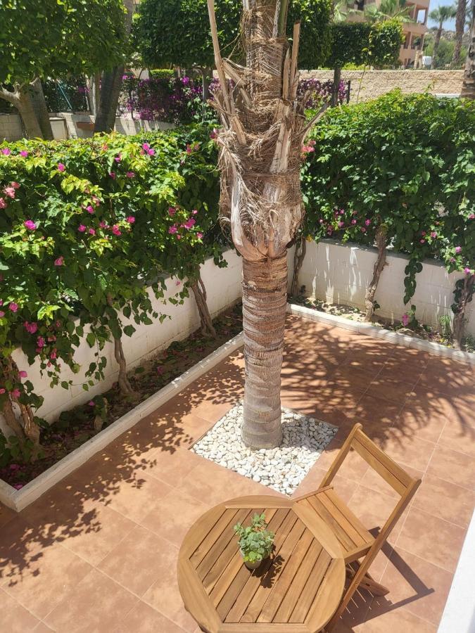 ¡Bajo Precioso Con Salida Directa A La Piscina Comunitaria En Paraiso De Vera! מראה חיצוני תמונה