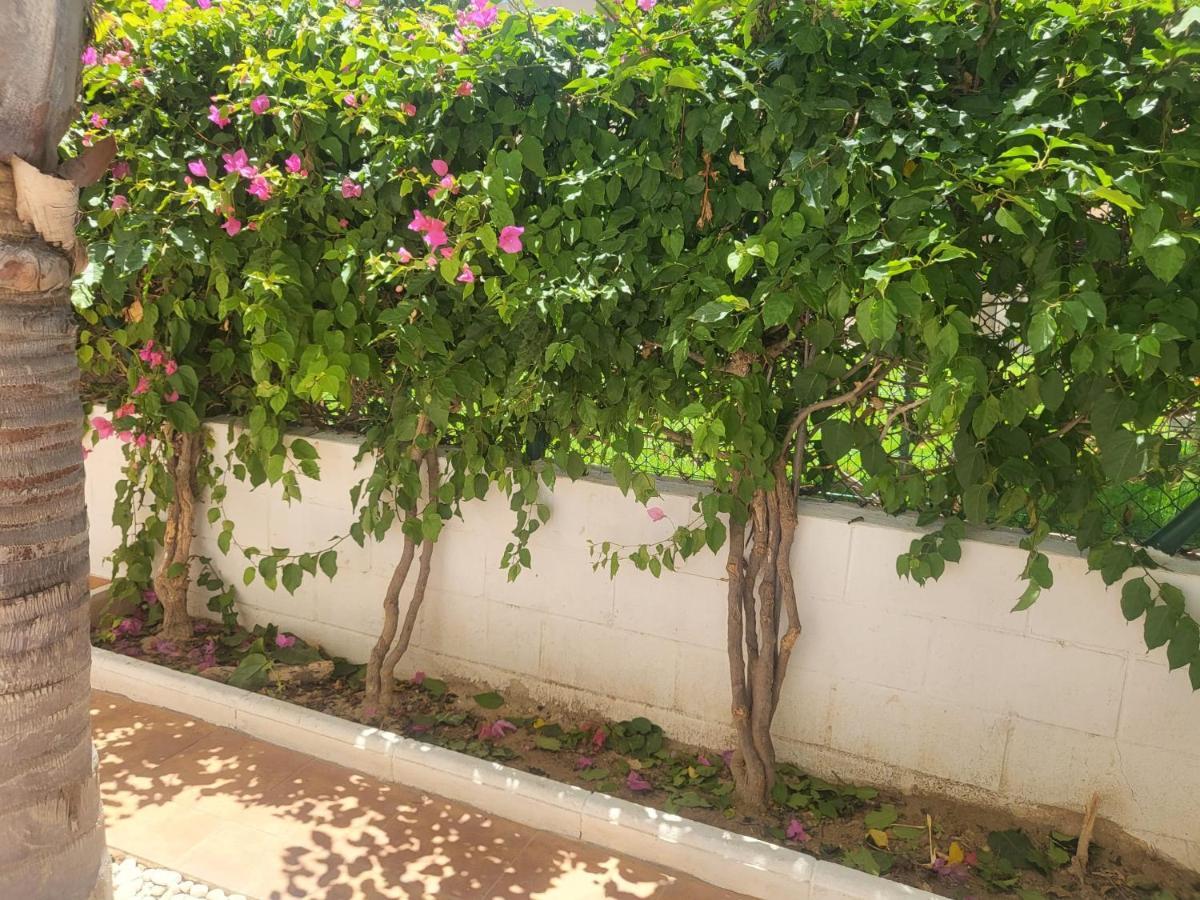 ¡Bajo Precioso Con Salida Directa A La Piscina Comunitaria En Paraiso De Vera! מראה חיצוני תמונה